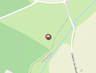 Carte de La Roche à Cernusson