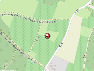 Carte de Bresnu Thierry à Beaumont-en-véron