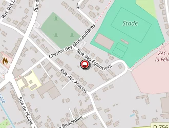 Carte de Ripoche Fréddy à Gesté