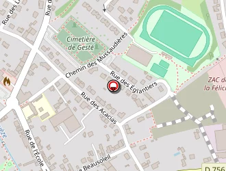 Carte de Vert Jaune Rouge à Gesté