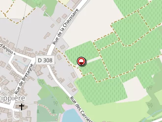 Carte de Petiteau Yves à Regrippière (la)