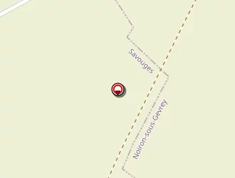 Carte de Soc Fumisterie Indust Part Navas-lopez à Savouges