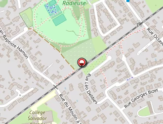 Carte de Loire Swans à Rezé