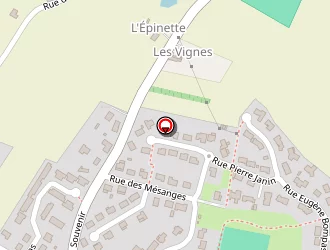 Carte de Couilleau Eliane à Gesté