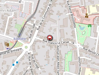 Carte de Alliance Voltaïque à Rezé