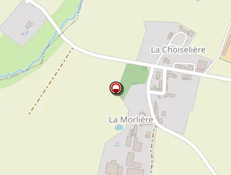 Carte de Charriau Aurélien à Rouans