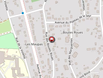 Carte de Flunch Bistro à Charité-sur-loire (la)