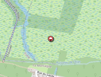 Carte de Guinée Graziella à Bouguenais