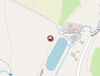 Carte de Faller Thierry à Saint-georges-sur-moulon