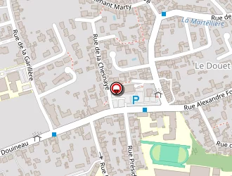 Carte de Hévin Patrick à Saint-sébastien-sur-loire