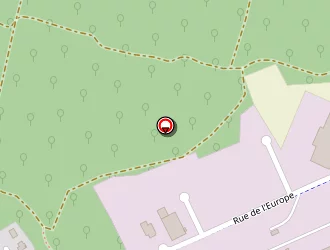 Carte de Leste Florent à Saint-vit