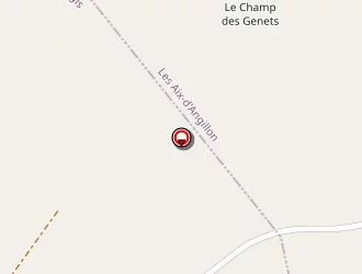 Carte de Linard Fabien à Soulangis