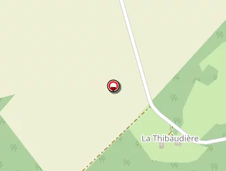 Carte de Polo Conseil à Genillé