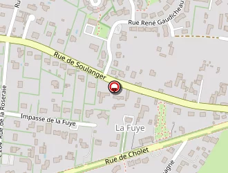 Carte de Foullard à Doué-la-fontaine