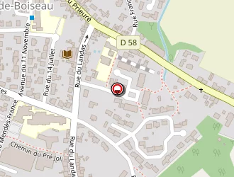 Carte de Pc Nantes Express à Saint-jean-de-boiseau