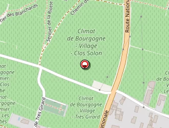 Carte de Serveau Bernard à Morey-saint-denis