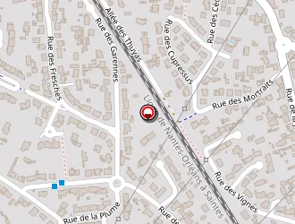 Carte de Bell'auto à Saint-sébastien-sur-loire