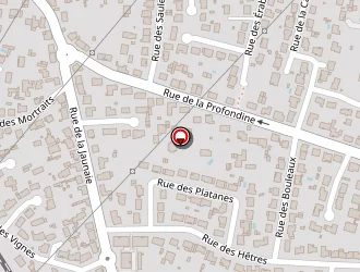 Carte de Auto Passion à Saint-sébastien-sur-loire