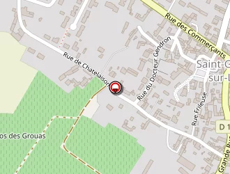 Carte de Fouchard Eric à Saint-georges-sur-layon