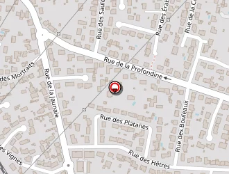 Carte de Corti David à Saint-sébastien-sur-loire