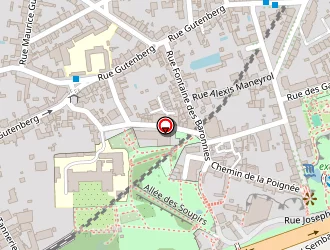 Carte de Sanchez Naig à Nantes