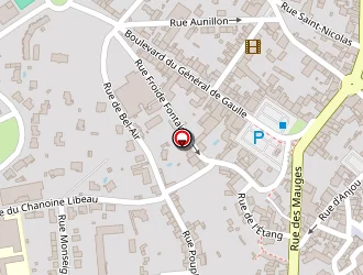 Carte de Thélem Assurances Sylvain Boré à Beaupréau