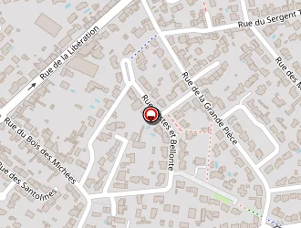 Carte de Egron Anthony à Saint-sébastien-sur-loire