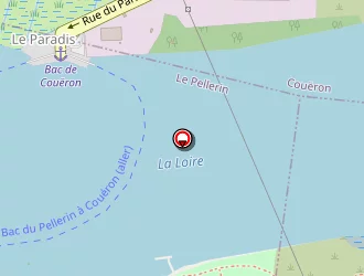 Carte de Viollin Gaël à Pellerin (le)