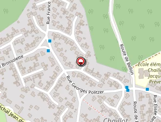 Carte de Besancon Thierry à Vierzon