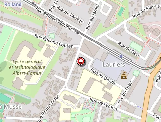 Carte de Damo à Nantes