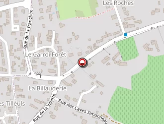 Carte de Gasné Pascal à Beaumont-en-véron