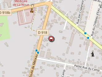 Carte de Fournier Chrysoline à Vierzon