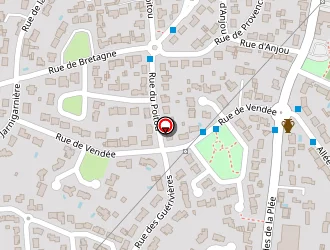 Carte de Tsm Conseil à Basse-goulaine