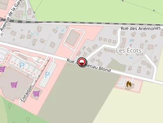 Carte de Thiolot Christian à Saône