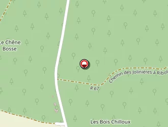 Carte de Henry Michaël à Huismes