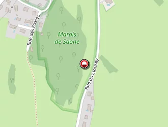 Carte de Bohnenblust Dominique à Saône