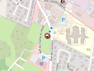 Carte de Fleurs Perellot à Avanne-aveney