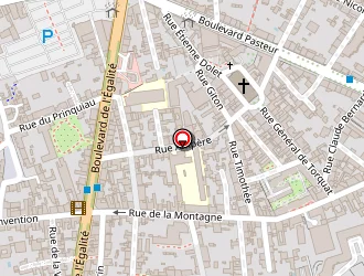 Carte de Save Jenny à Nantes