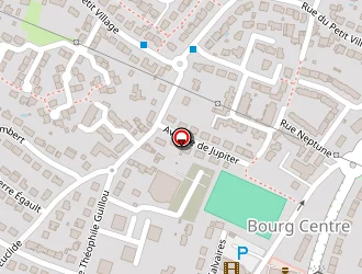 Carte de Koloko Ibara Anna à Saint-herblain