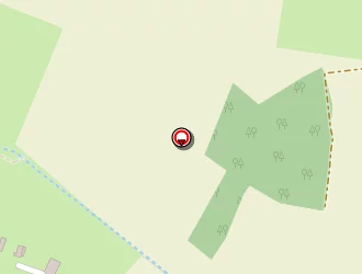 Carte de Rondineau Yves à Thilouze