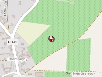 Carte de Dézé Laurent à Souzay-champigny