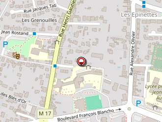 Carte de Yann Kel à Couëron