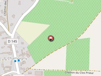 Carte de Tihm à Souzay-champigny