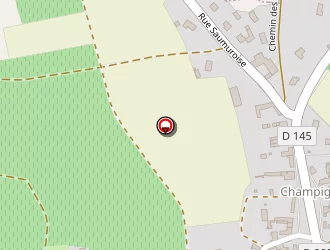 Carte de Ile Iris à Souzay-champigny