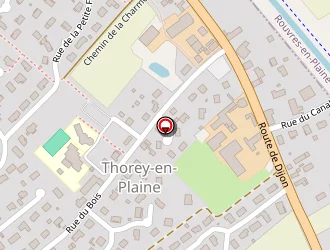 Carte de Fallet Patrick à Thorey-en-plaine