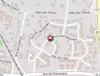 Carte de Salle De Loisirs à Chacé