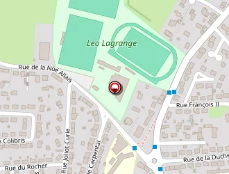 Carte de Leray Arnaud à Couëron