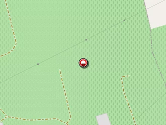 Carte de Pineau Rémi à Landreau (le)