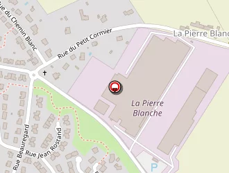 Carte de Neo's à Chemillé