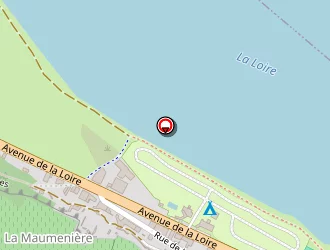 Carte de C.v.t.immo à Montsoreau